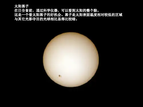 2009年7月22日的日全食