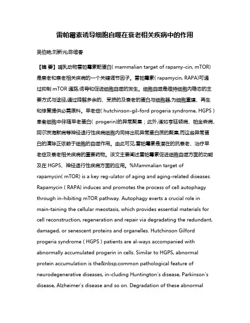 雷帕霉素诱导细胞自噬在衰老相关疾病中的作用