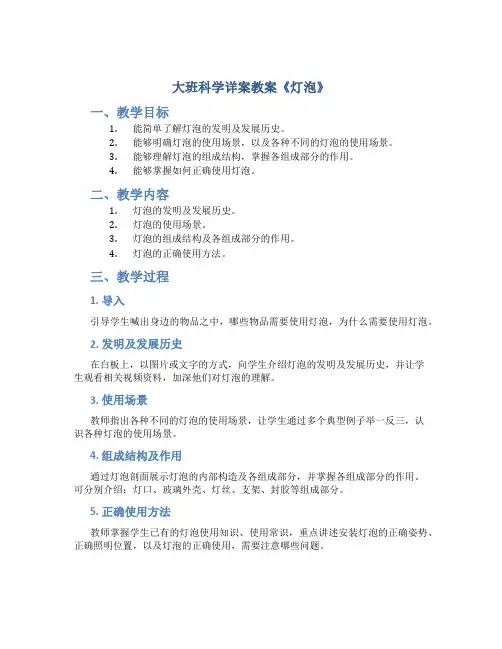 大班科学详案教案《灯泡》