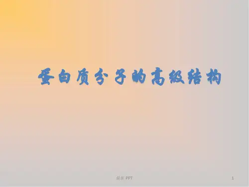 蛋白质的空间结构精品课件