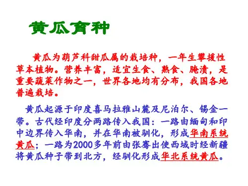 蔬菜育种