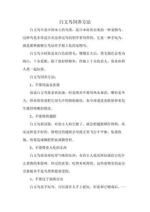 白文鸟饲养方法
