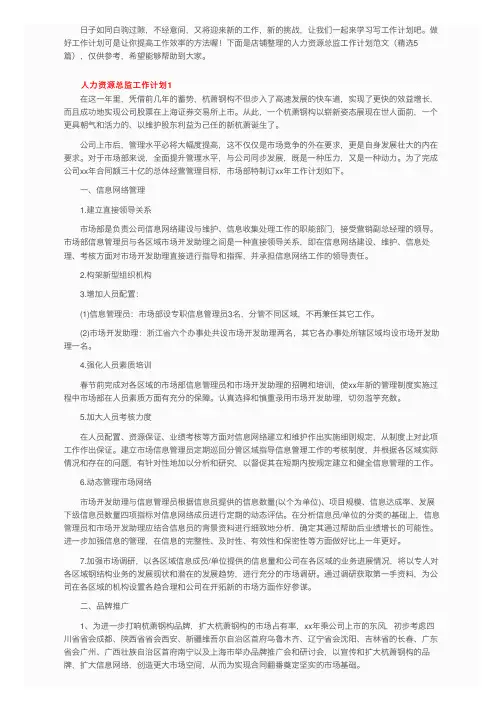 人力资源总监工作计划范文（精选5篇）