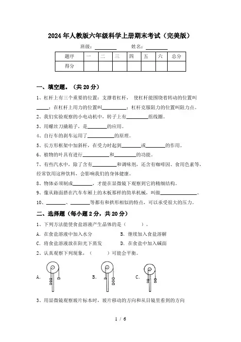 2024年人教版六年级科学上册期末考试(完美版)