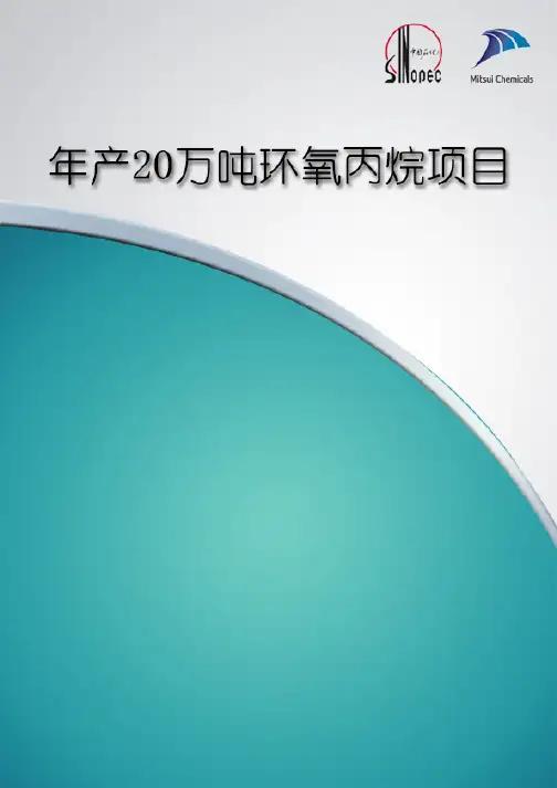 年产 20 万吨环氧丙烷项目-项目可行性报告