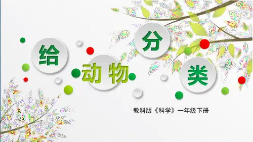 教科版一年级下册科学《给动物分类》PPT优质课件