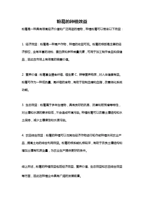 粉葛的种植效益