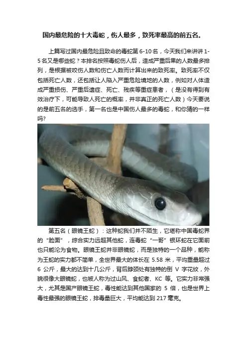 国内最危险的十大毒蛇，伤人最多，致死率最高的前五名。