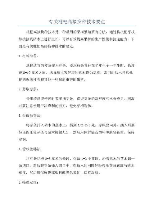 有关枇杷高接换种技术要点
