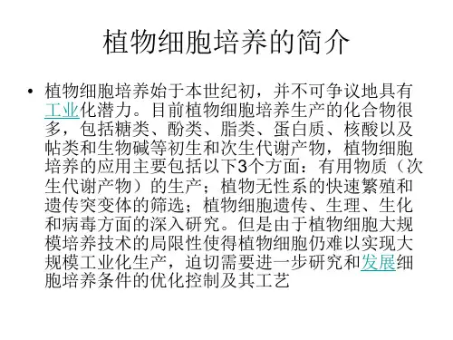 植物细胞培养生产次生代谢产物及其应用前景_PPT幻灯片