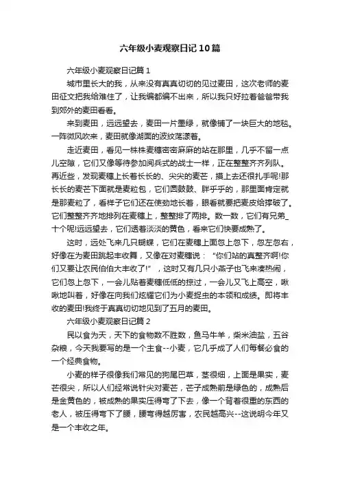 六年级小麦观察日记10篇