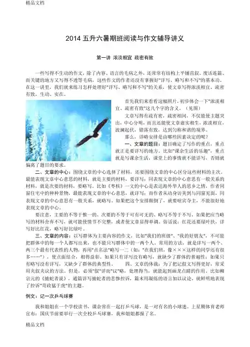 最新五升六暑期班阅读与作文辅导讲义资料