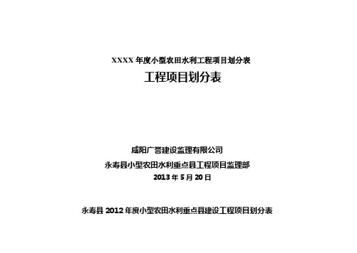 XXXX年度小型农田水利工程项目划分表