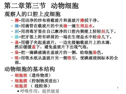 第三节 动物细胞