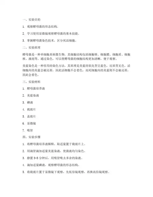 酵母菌染色实验报告