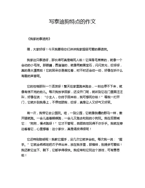 写泰迪狗特点的作文