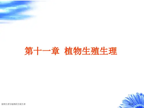 植物生理学植物的生殖生理专家讲座