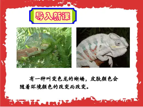 统编(部编)版初3语文9年级下册 第2单元《变色龙》课件(共38张ppt)