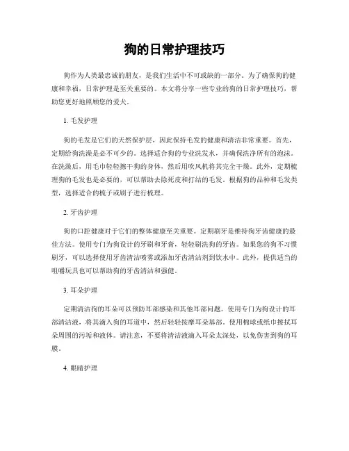 狗的日常护理技巧