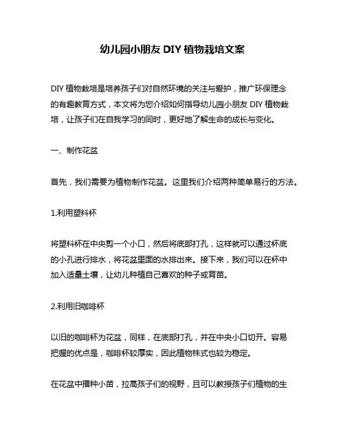 幼儿园小朋友DIY植物栽培文案