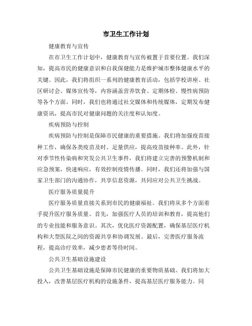 市卫生工作计划