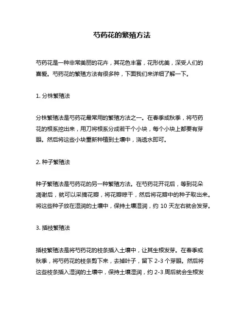 芍药花的繁殖方法