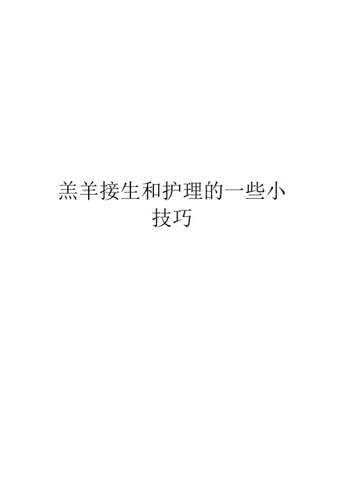 羔羊接生和护理的一些小技巧