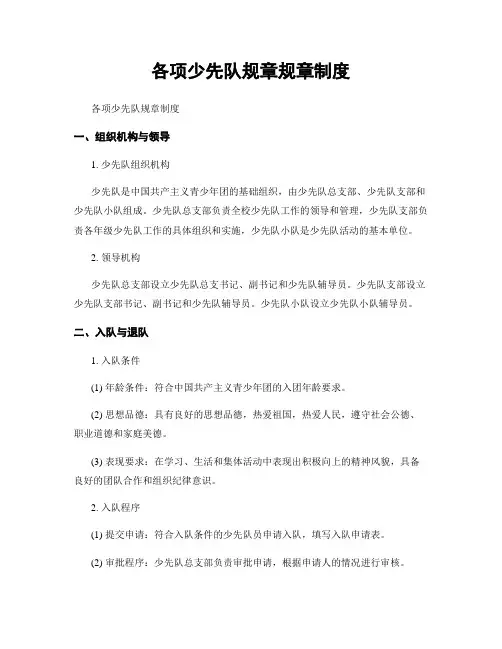 各项少先队规章规章制度