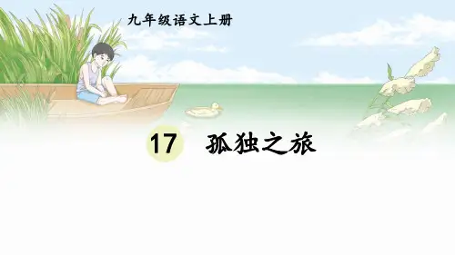 17 孤独之旅-部编版语文九年级上册