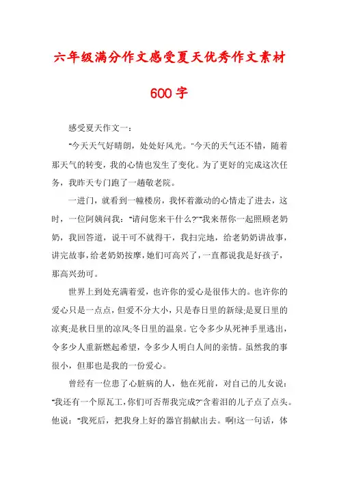 六年级满分作文感受夏天优秀作文素材600字