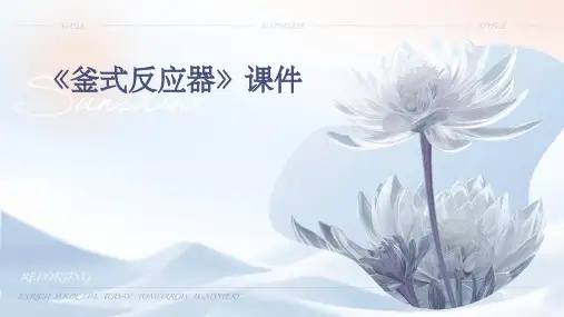 《釜式反应器》课件