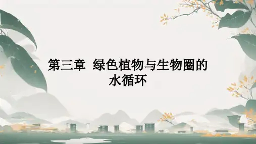 绿色植物与生物圈的水循环ppt课件