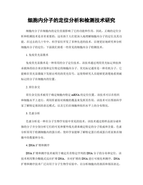 细胞内分子的定位分析和检测技术研究