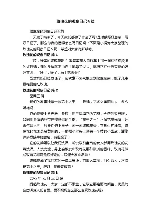 玫瑰花的观察日记五篇