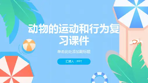 动物的运动和行为复习课件