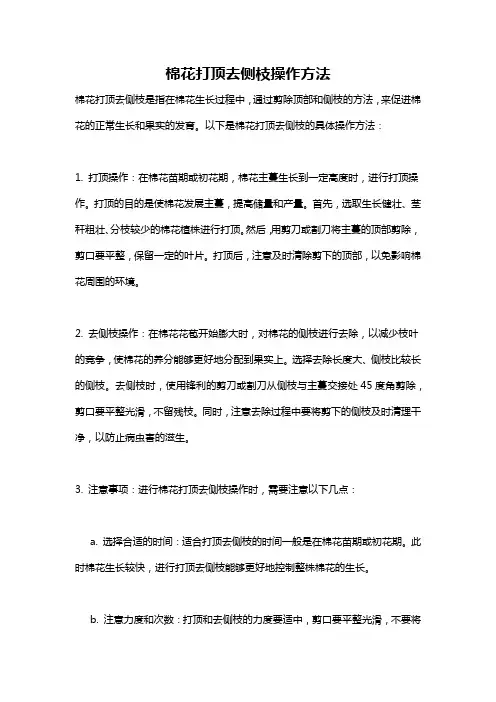 棉花打顶去侧枝操作方法