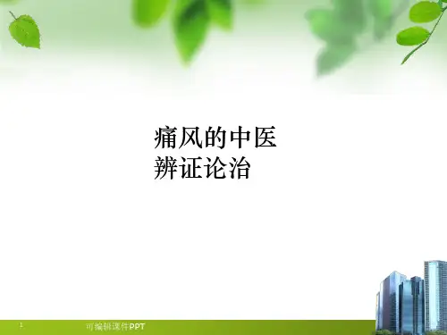 痛风的中医辨证论治