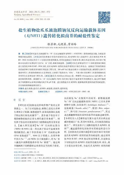 盐生植物盐爪爪液泡膜钠氢反向运输载体基因(KfNHX1)遗传转化拟南芥的耐盐性鉴定