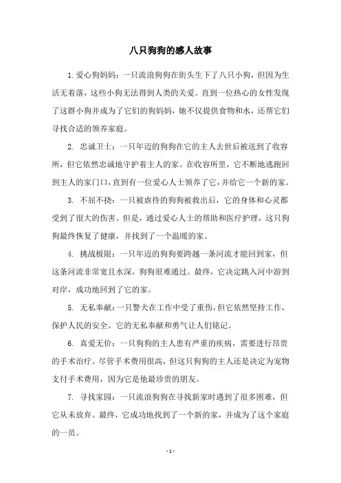 八只狗狗的感人故事