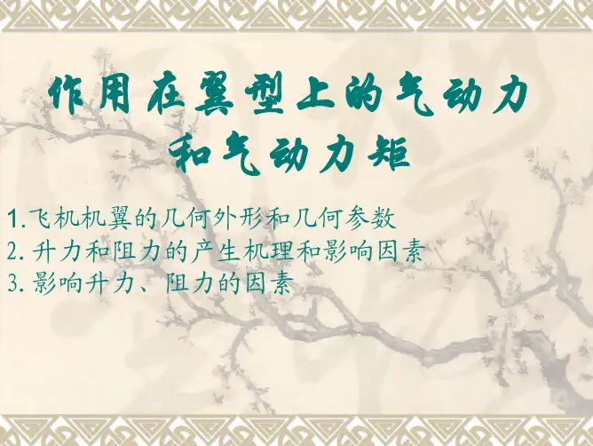 机翼的几何外形和气动力和气动力矩(4学时)