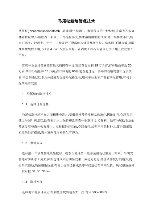 马尾松栽培管理技术