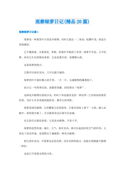 观察绿萝日记(精品20篇)