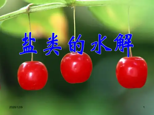 3.3盐类的水解PPT优质课件