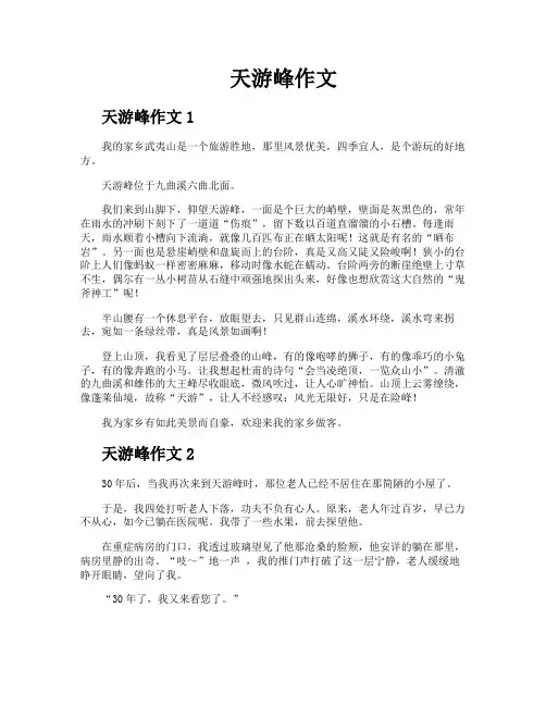 天游峰作文