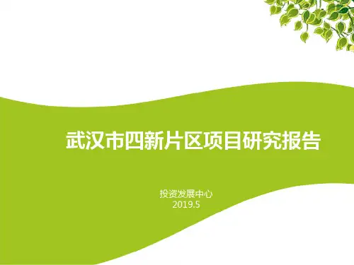 5月武汉四新片区项目可研分析报告48PPT49页PPT