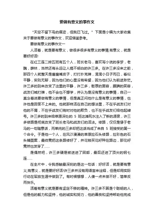 要做有意义的事作文