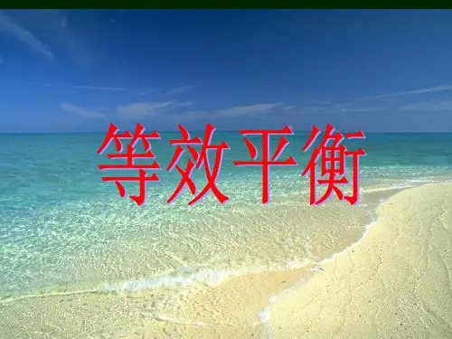 化学选修四_等效平衡