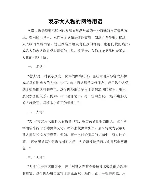 表示大人物的网络用语