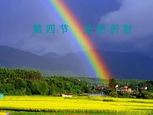 人教版八年级上册物理第四章第四节 光的折射 课件 (共19张PPT)