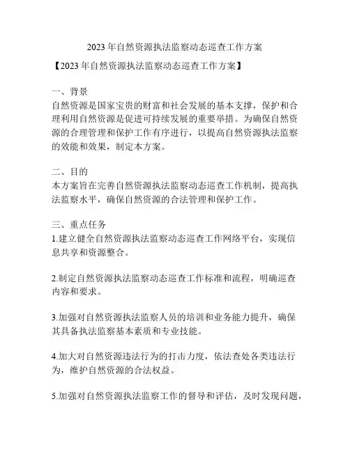 2023年自然资源执法监察动态巡查工作方案